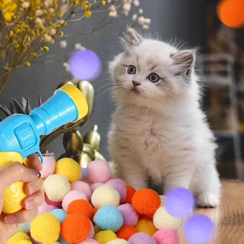 Fluffy white kitten with curious eyes sits by colorful pom-poms near cat toy launcher