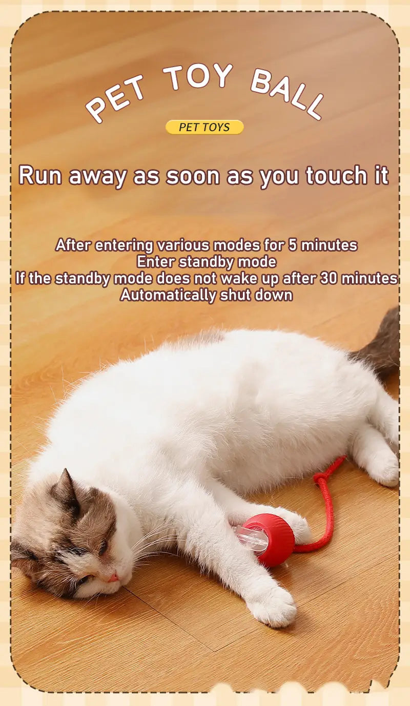Red spherical Interactive Rechargeable Cat Ball Toy with red cord