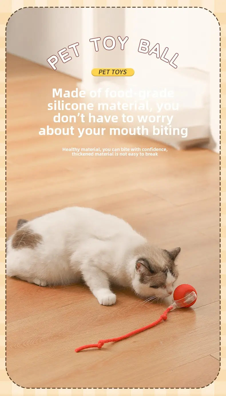 Red silicone interactive cat ball toy with dangling orange string