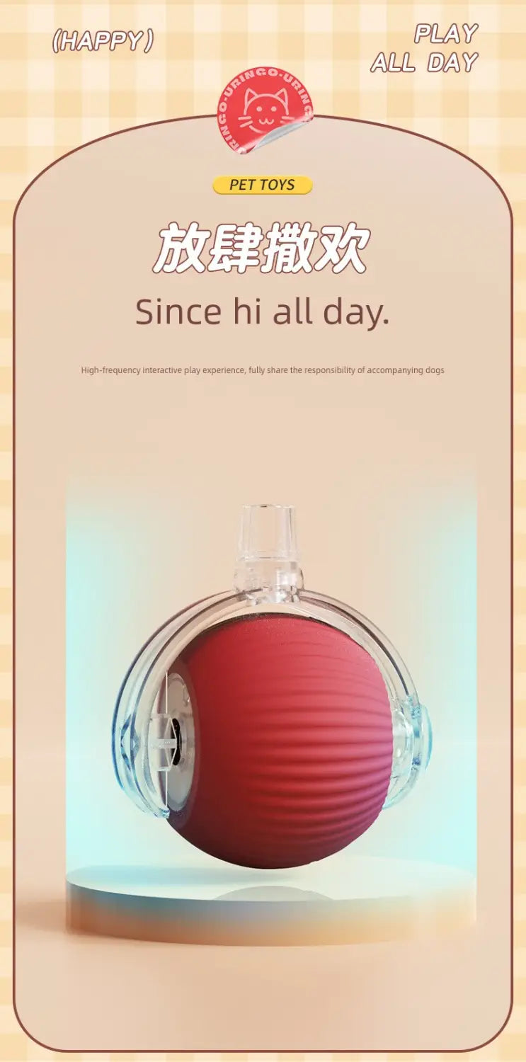 Balle de teasing pour chat interactive intelligente en silicone nervuré rouge avec boîtier transparent