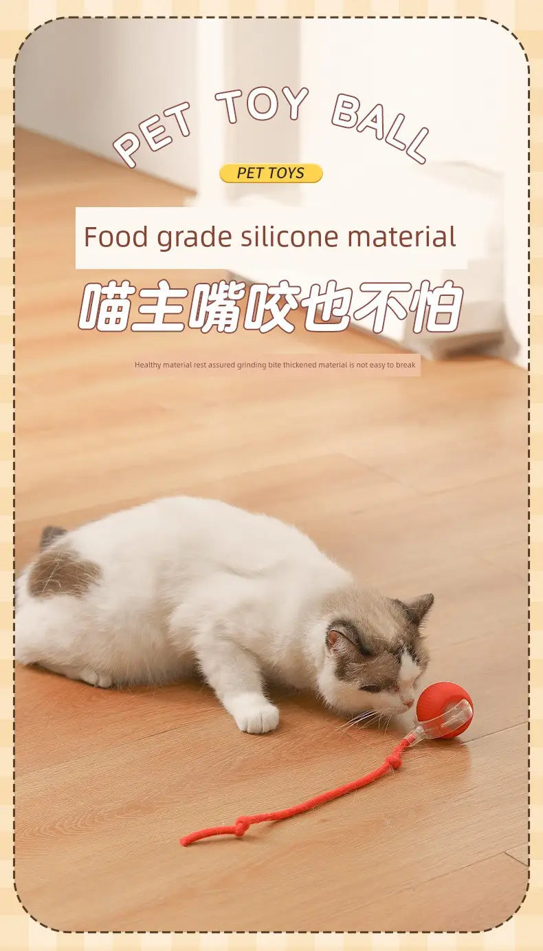 Balle de teasing interactive intelligente pour chat en silicone rouge avec ficelle pendante