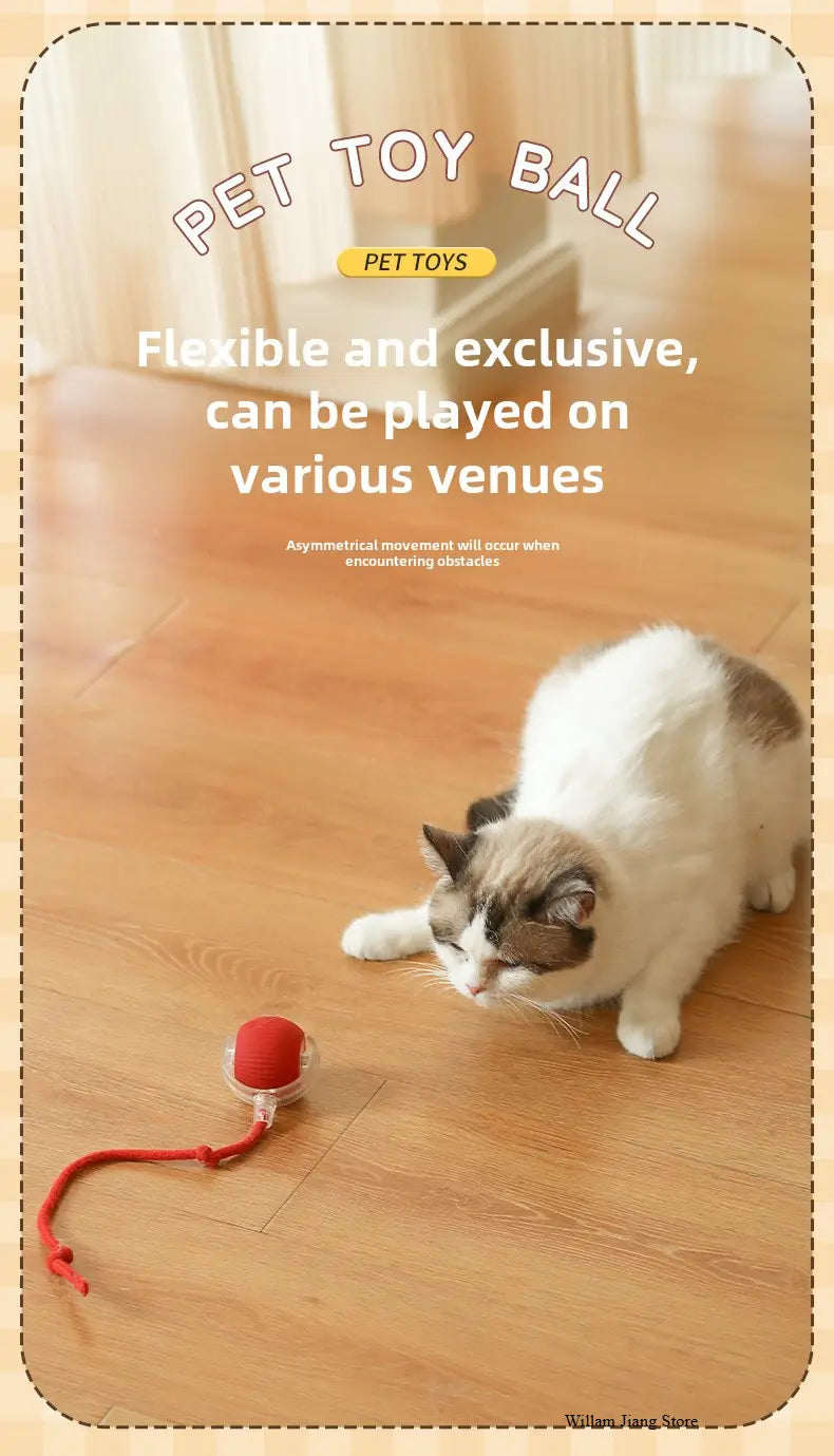 Red flexible Interactive Rechargeable Cat Ball Toy with clear cap and cord