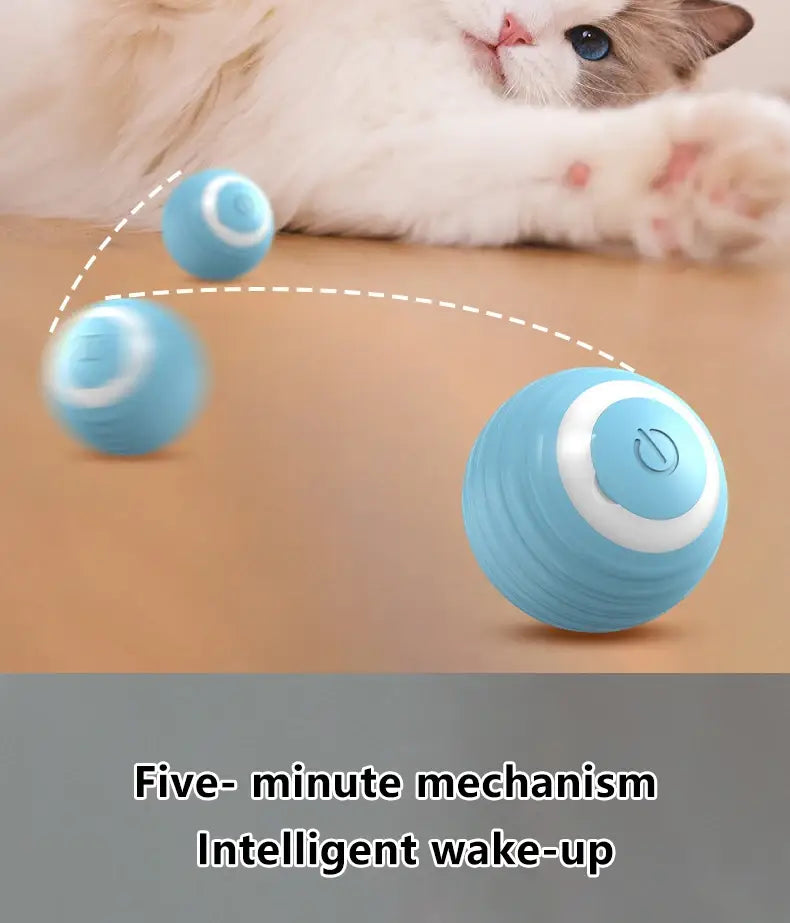 Interactive Cat Spin Ball light blue spherical toy with white accents