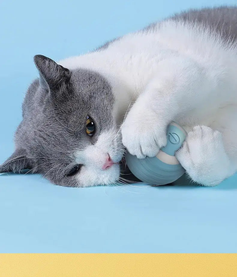 Interactive Cat Spin Ball: soft blue silicone toy with white stripe