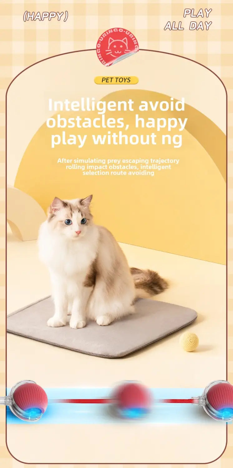 Gray rectangular cat obstacle course mat for Interactive Rechargeable Cat Ball Toy
