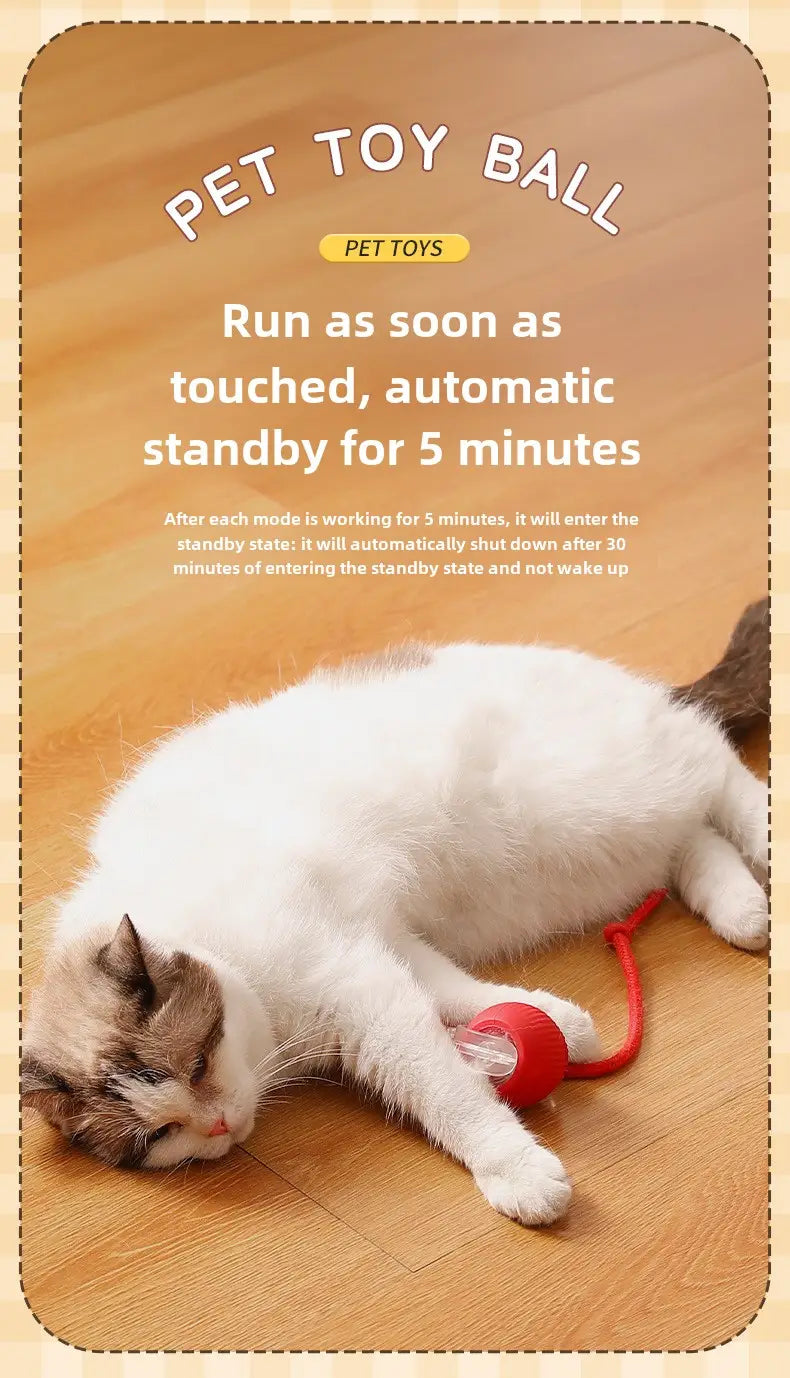 Red plastic Interactive Rechargeable Cat Ball Toy with red cord