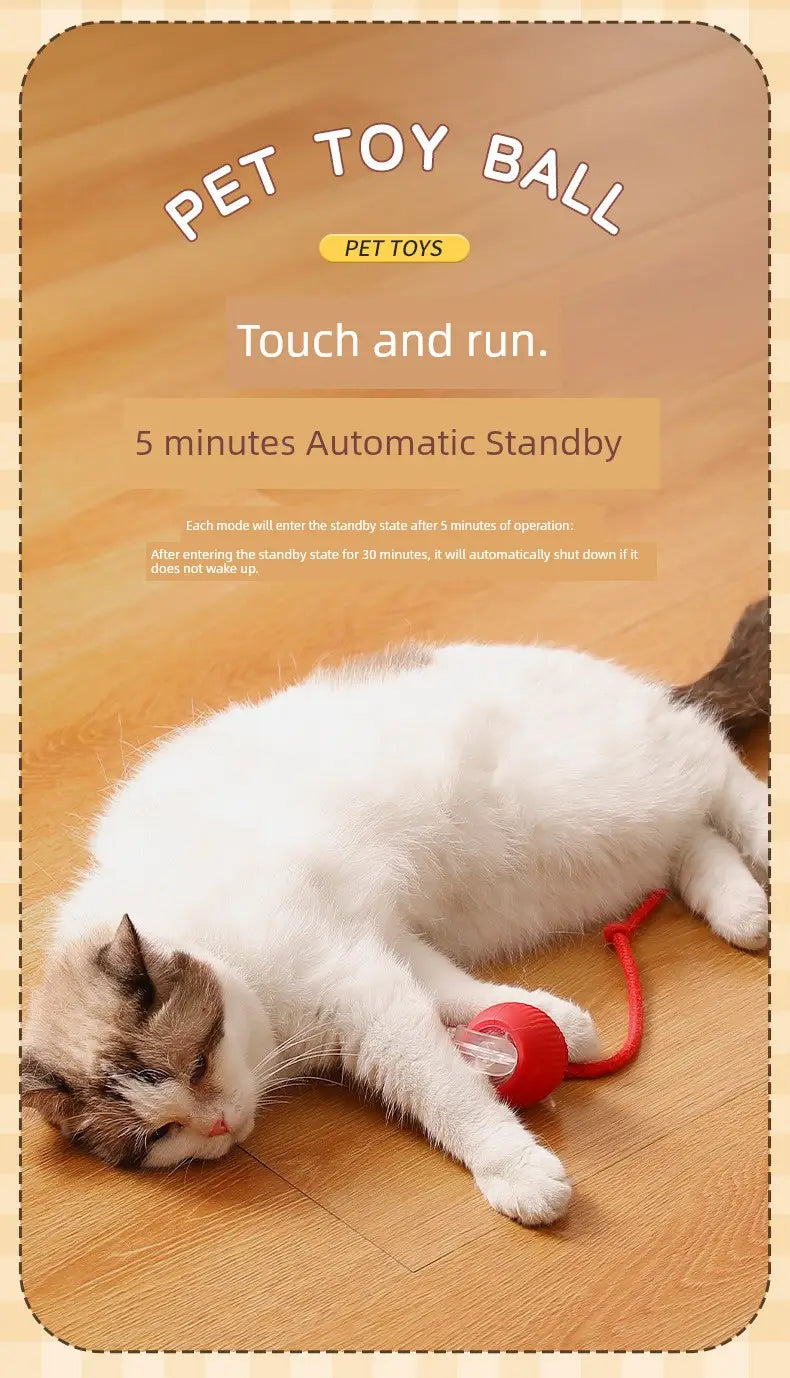 Balle jouet pour animal en plastique rouge avec corde rouge rétractable pour Balle de Taquinerie Interactive Intelligente pour Chat