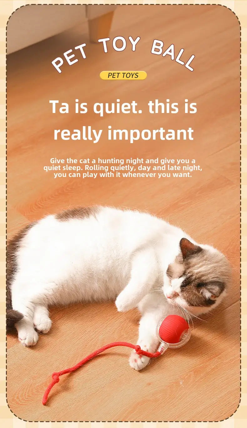 Red plastic Interactive Rechargeable Cat Ball Toy with red string