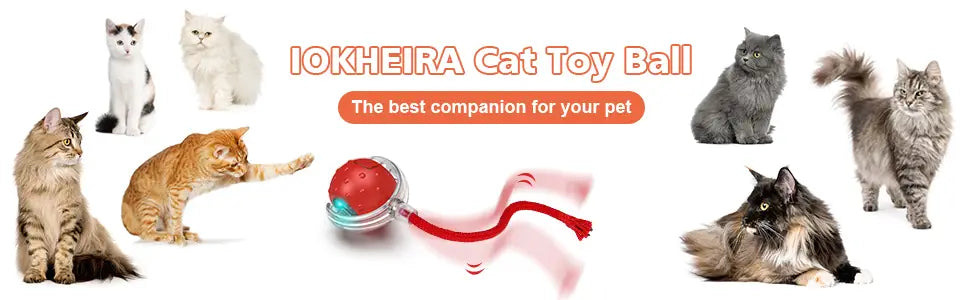 Red and teal Interactive Rechargeable Cat Ball Toy with dangling red ribbon