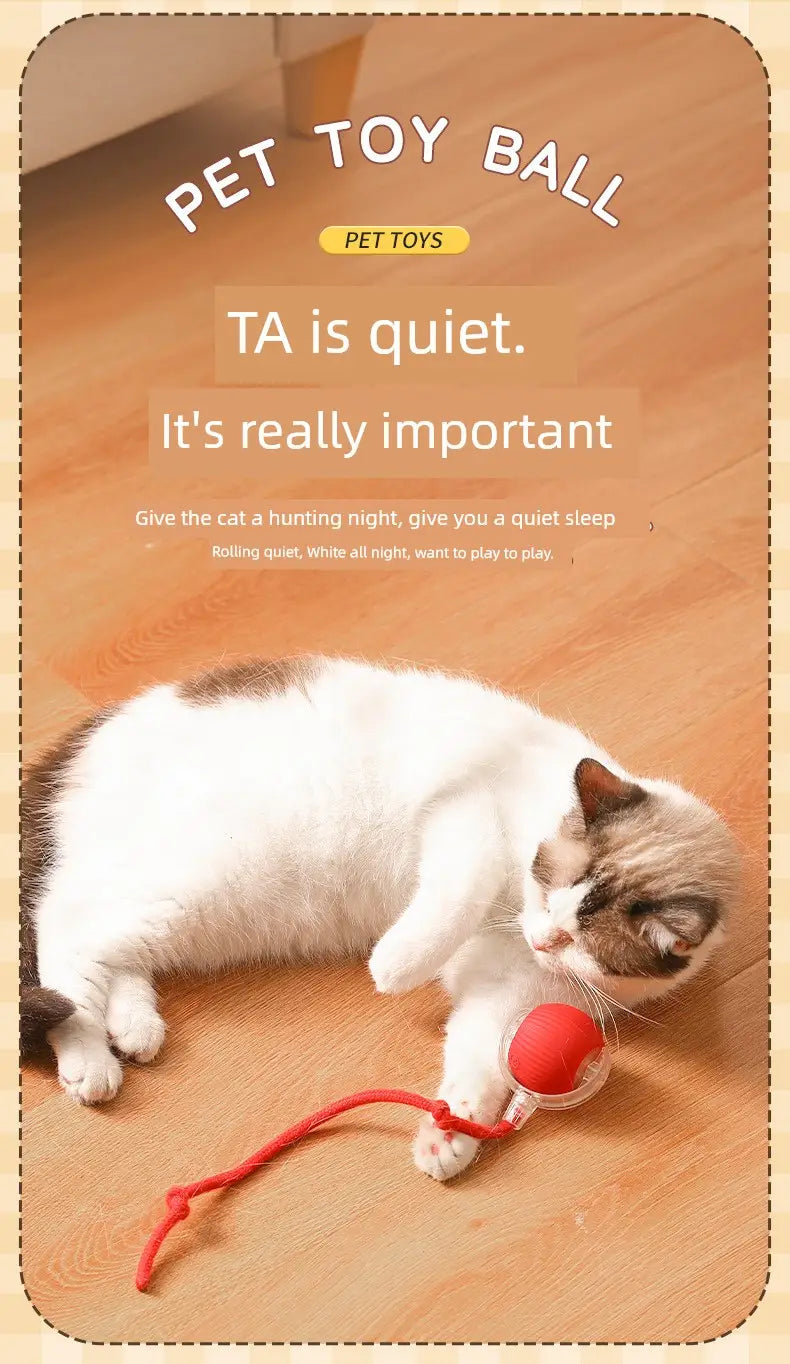Jouet balle de teasing interactive intelligente pour chat en plastique rouge avec ficelle rouge