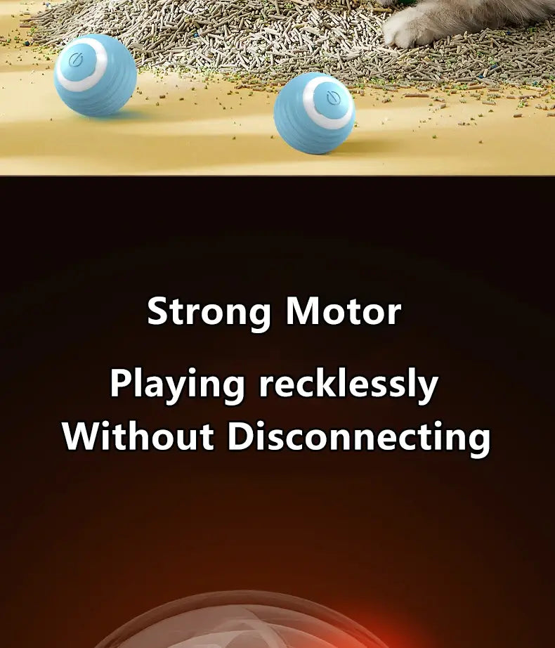 Interactive Cat Spin Ball: two light blue spherical robotic toys