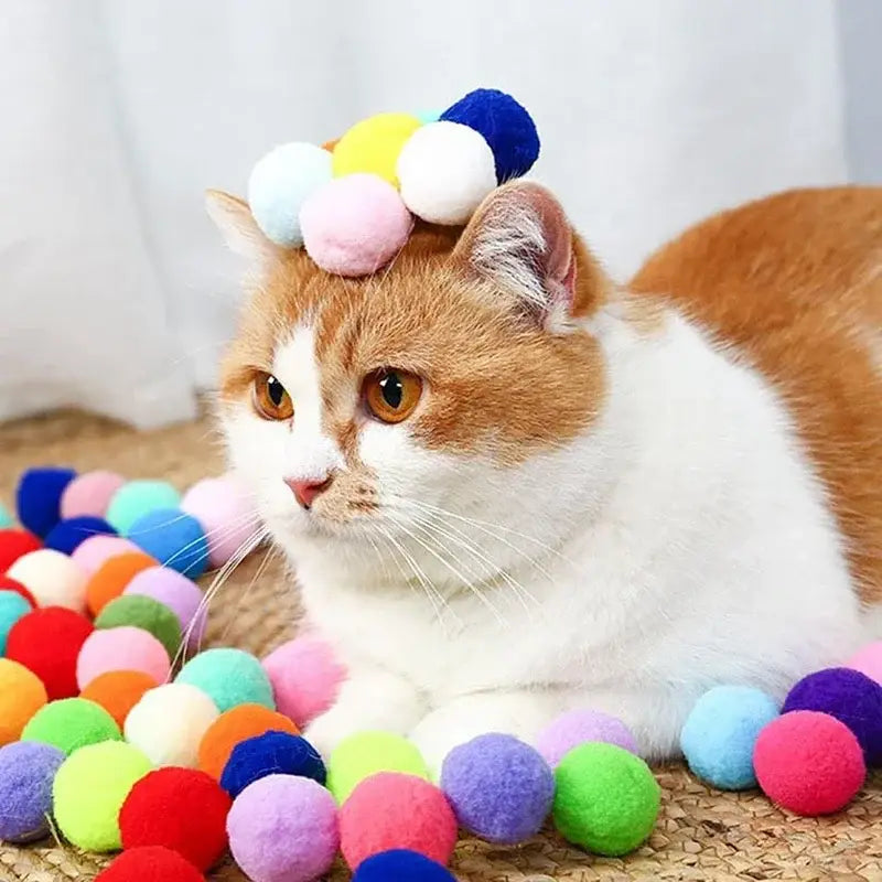 Fluffy orange and white cat in pom-pom headband with cat toy launcher