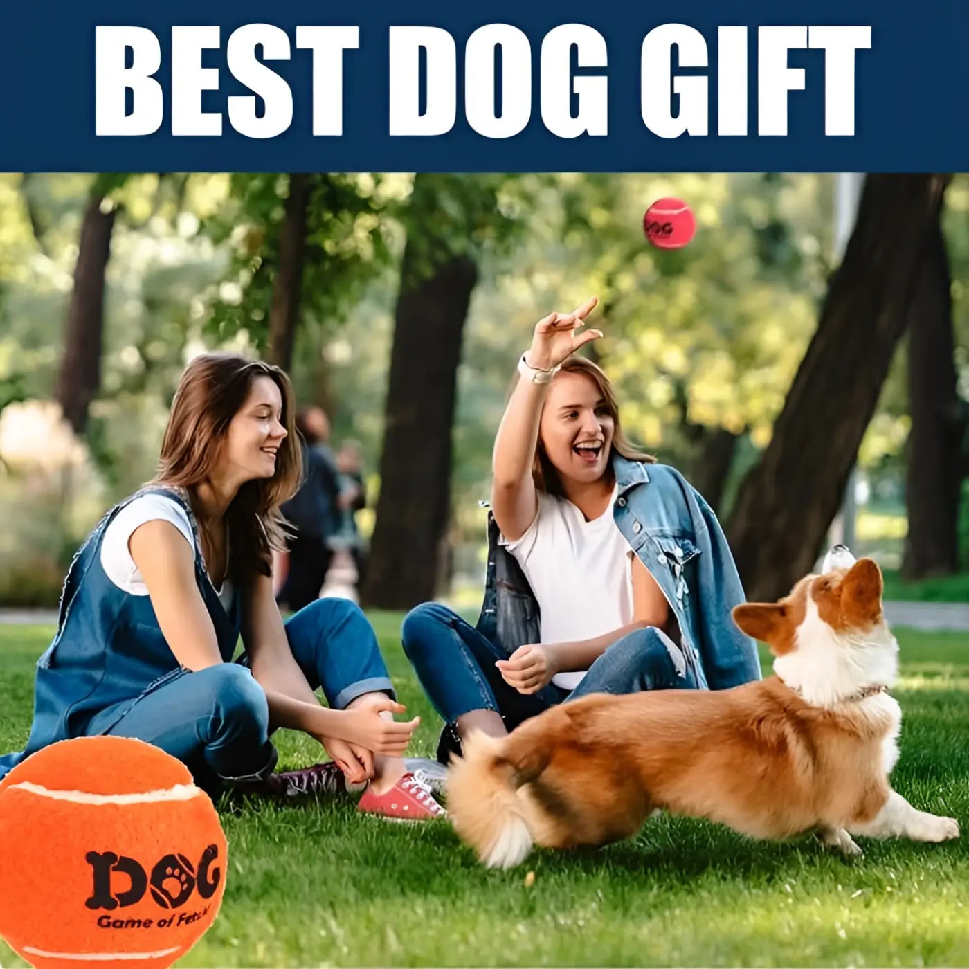 The Ball Depot : AMA SPORT Tennis Balls for Dogs 12 Pack 2.5"