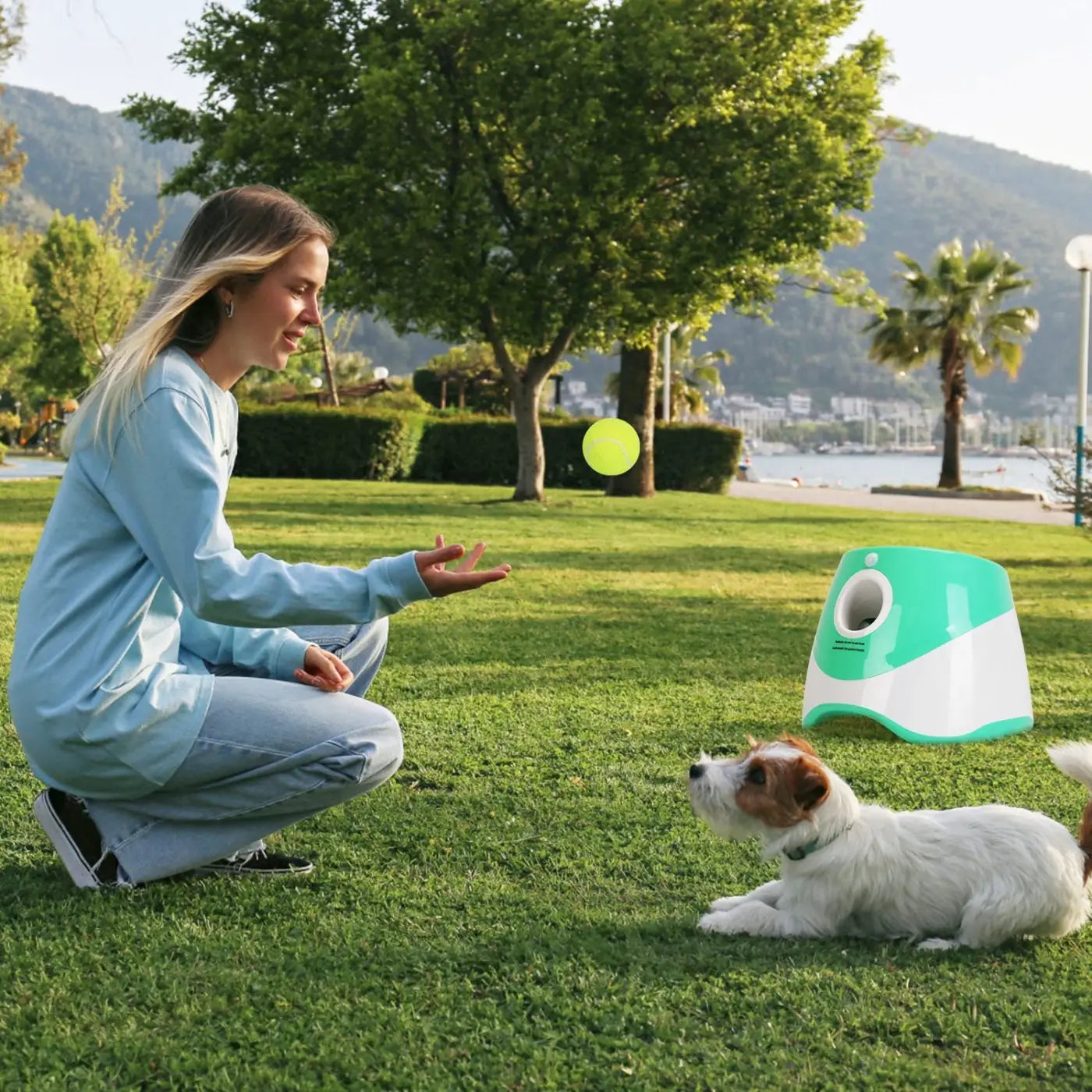 The Ball Depot dog ball: Automatic Dog Ball Launcher