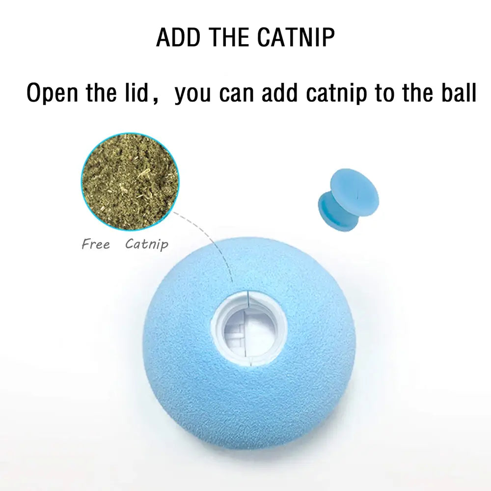 Gravity Voice pet Ball