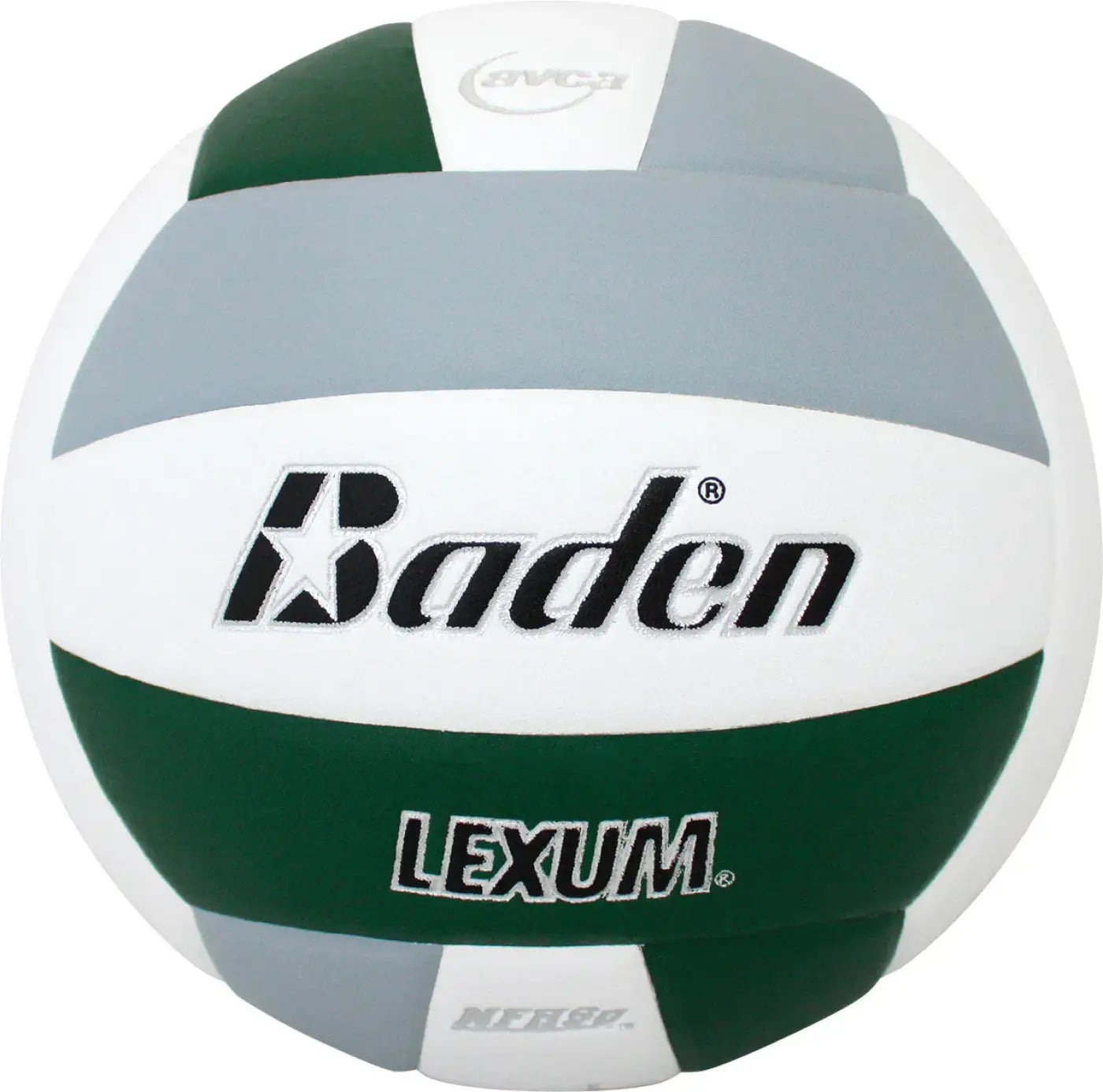 The Ball Depot volleyball: Baden Lexum Microfiber Volleyball