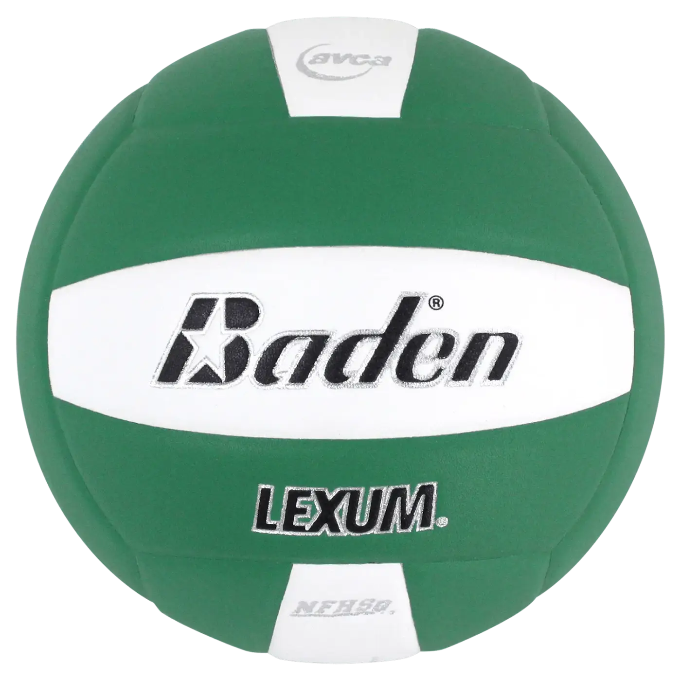 The Ball Depot volleyball: Baden Lexum Microfiber Volleyball