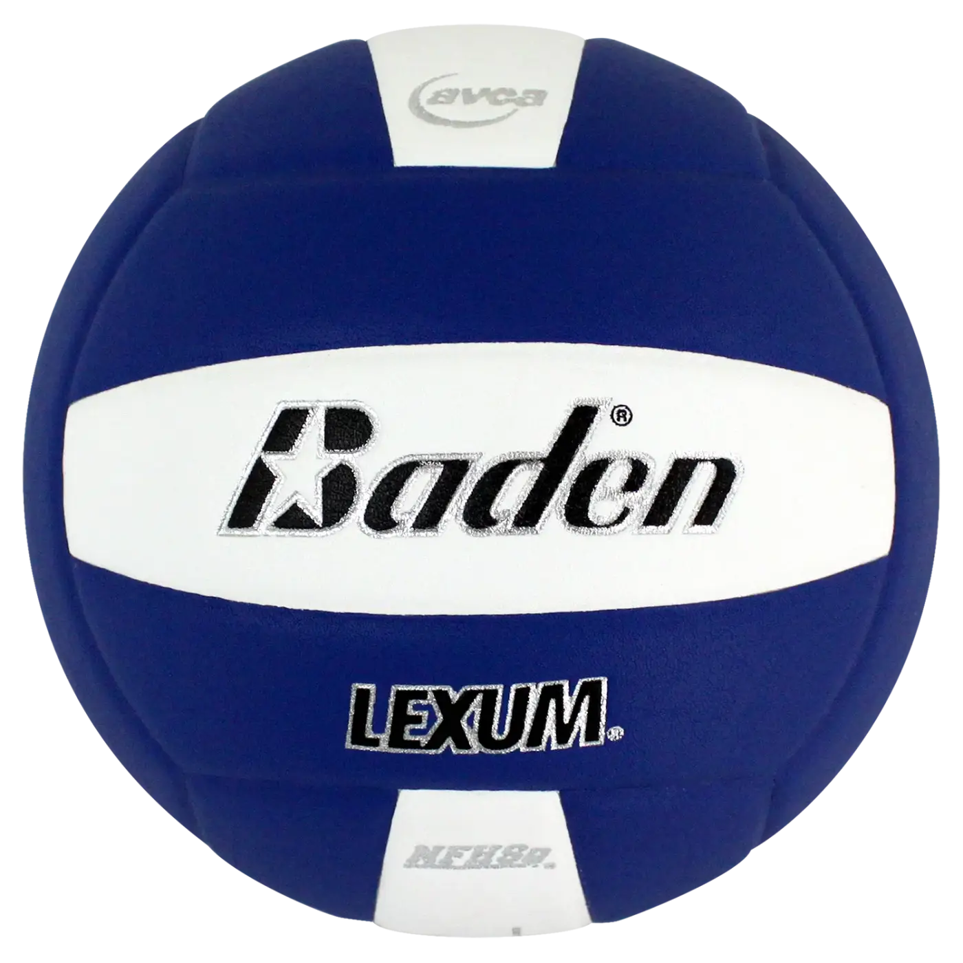 The Ball Depot volleyball: Baden Lexum Microfiber Volleyball