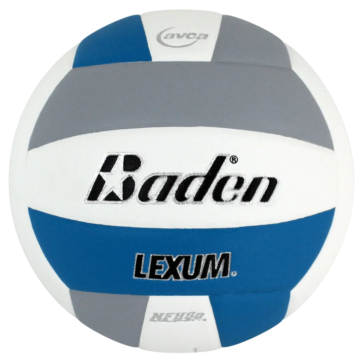 The Ball Depot volleyball: Baden Lexum Microfiber Volleyball