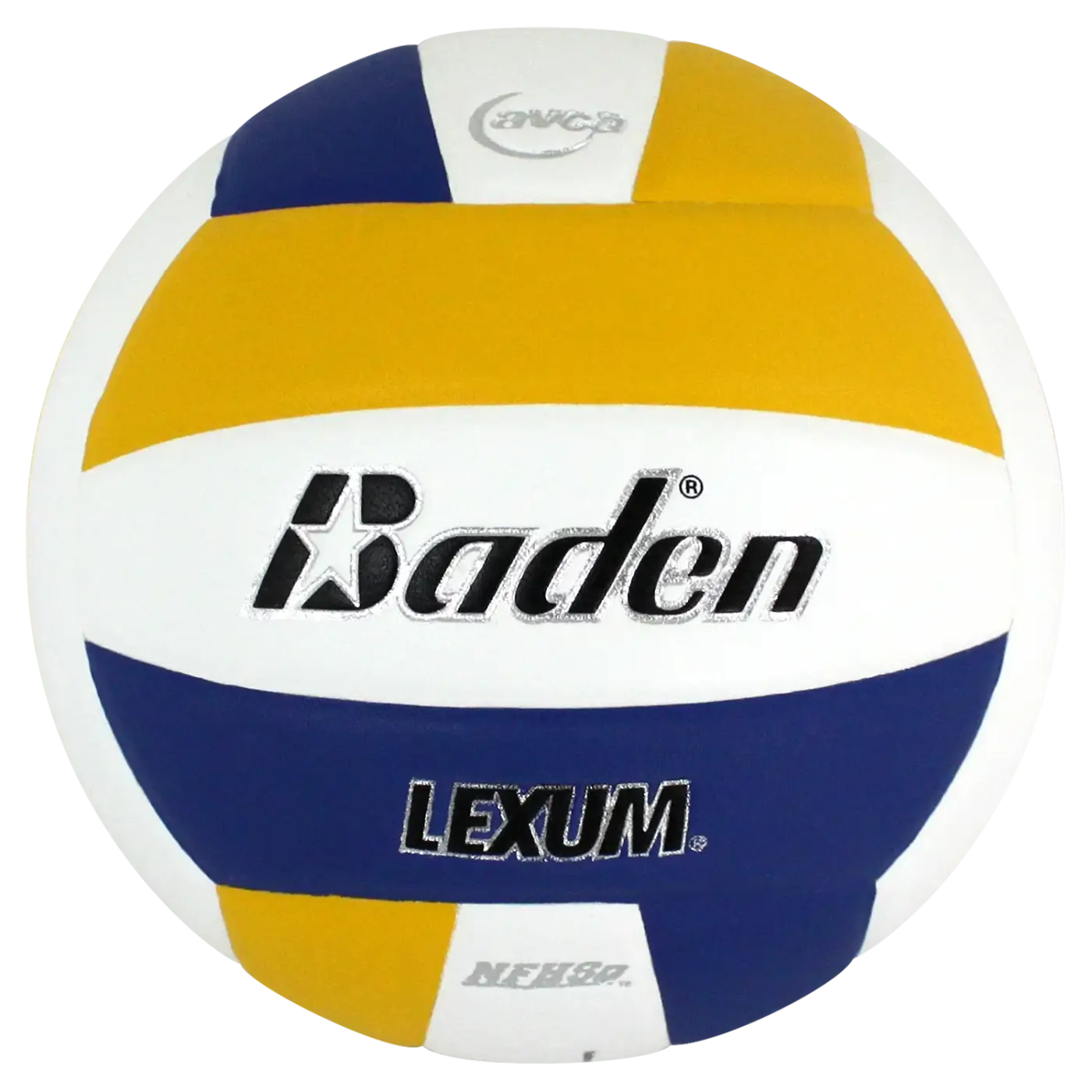 The Ball Depot volleyball: Baden Lexum Microfiber Volleyball