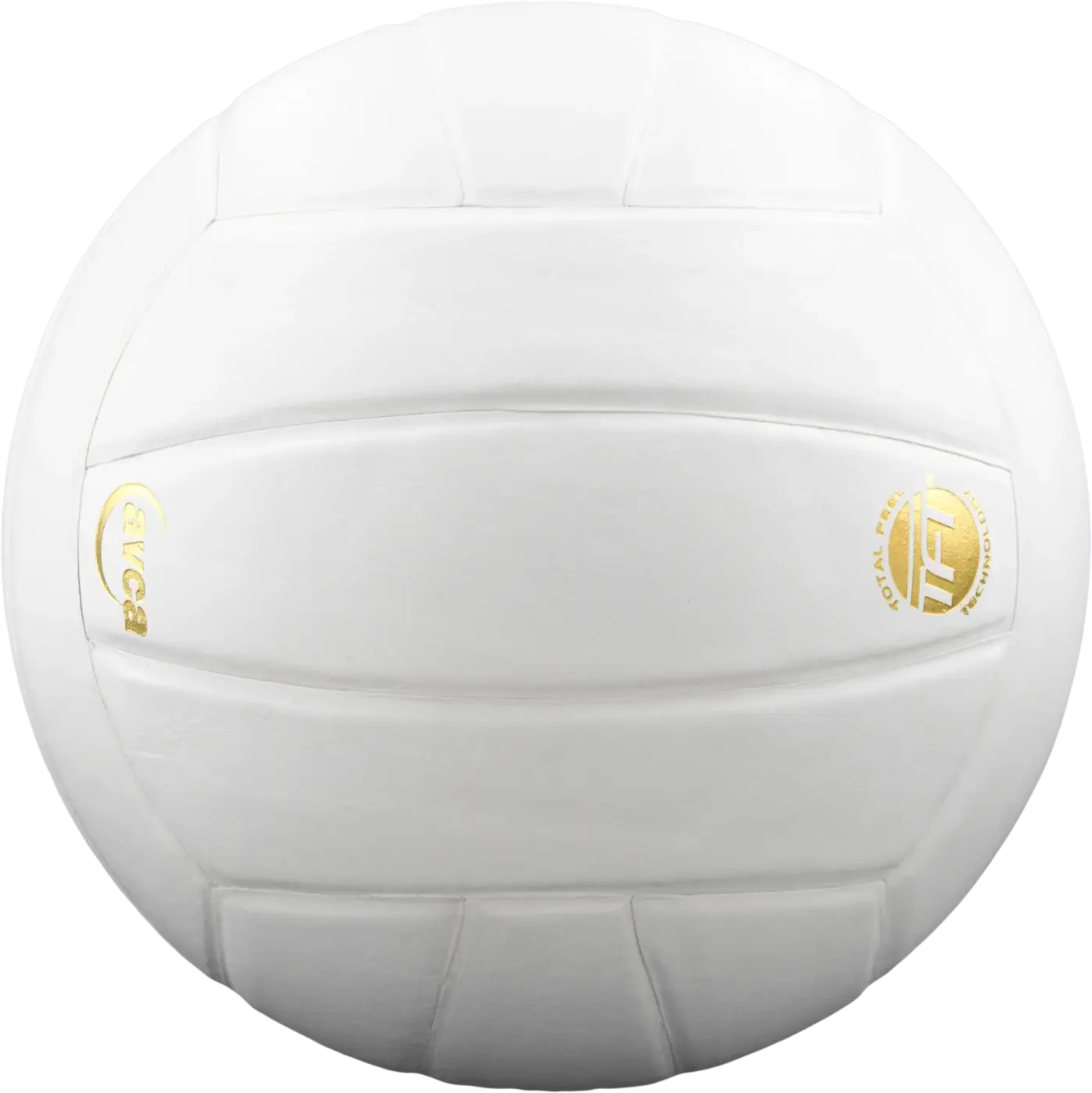 The Ball Depot volleyball: Baden Lexum Microfiber Volleyball