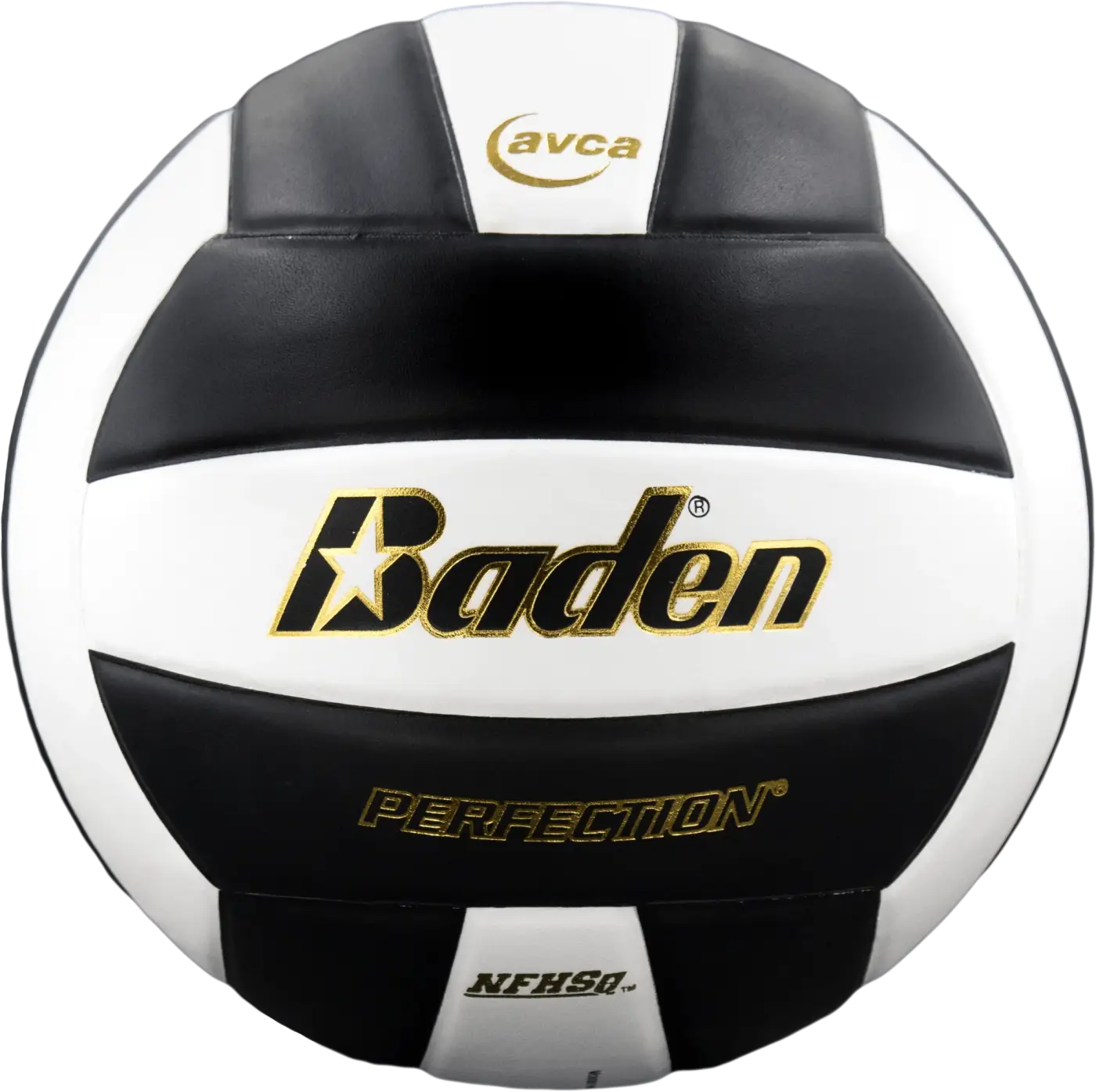 The Ball Depot volleyball: Baden Perfection Leather Volleyball