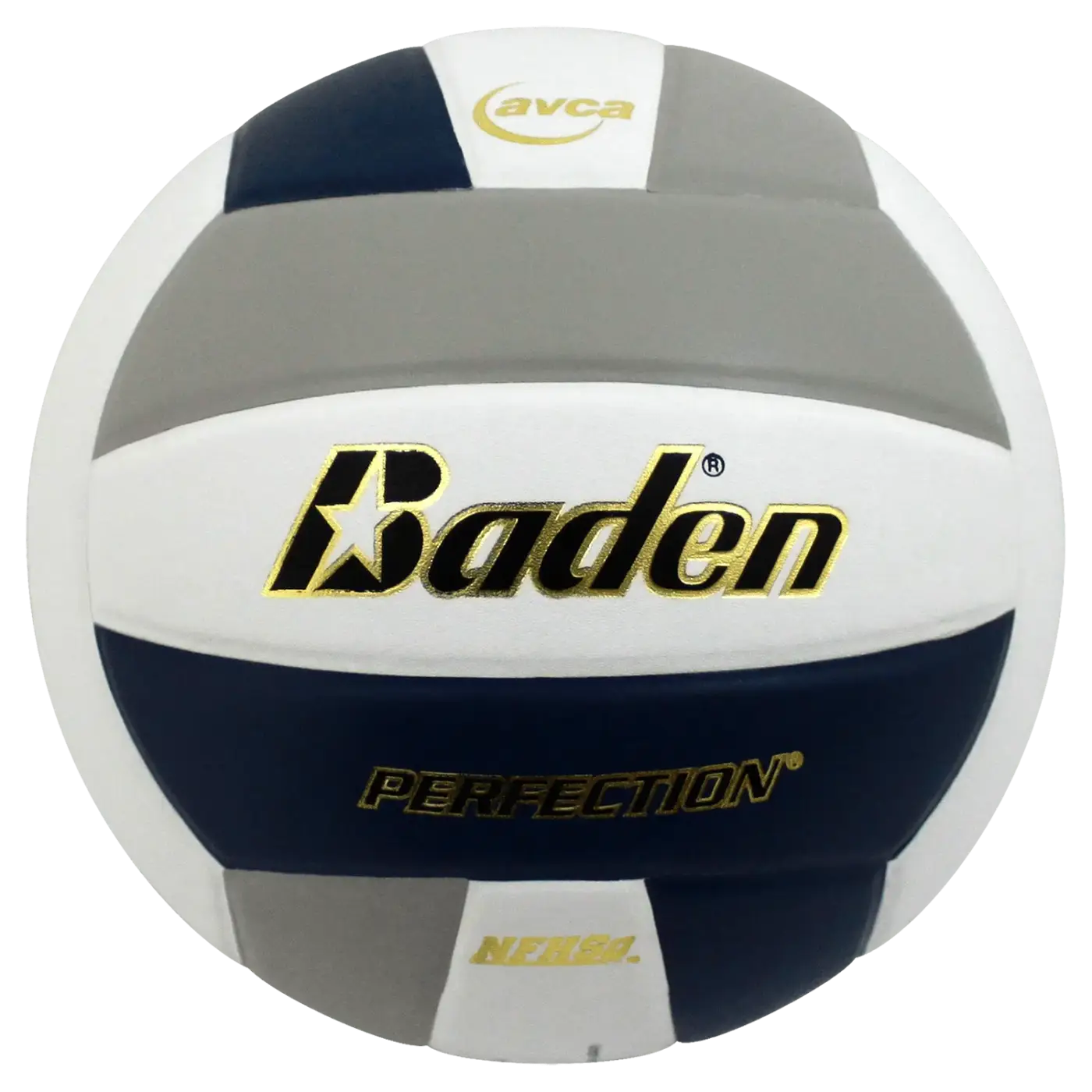 The Ball Depot volleyball: Baden Perfection Leather Volleyball