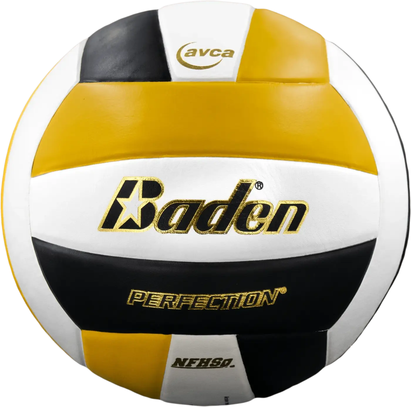 The Ball Depot volleyball: Baden Perfection Leather Volleyball