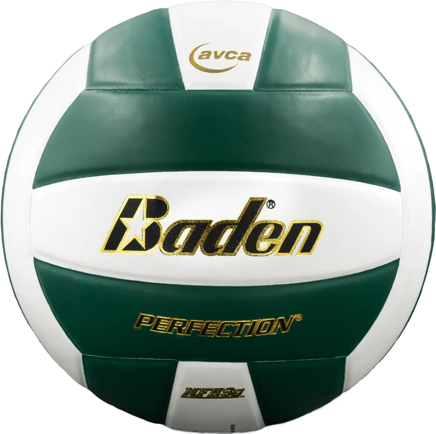 The Ball Depot volleyball: Baden Perfection Leather Volleyball
