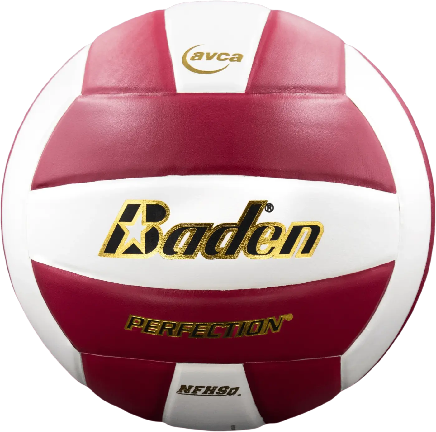 The Ball Depot volleyball: Baden Perfection Leather Volleyball