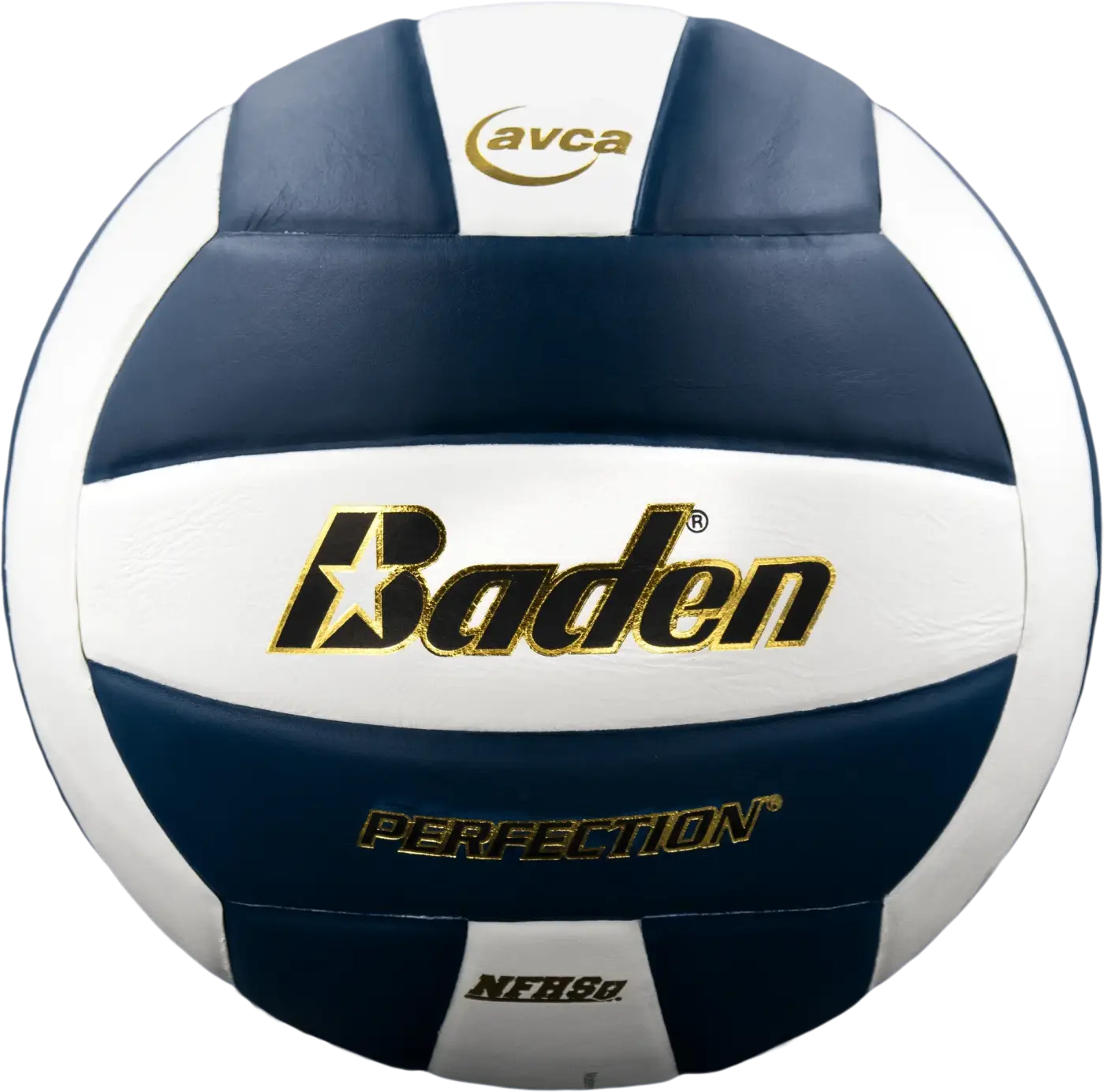 The Ball Depot volleyball: Baden Perfection Leather Volleyball