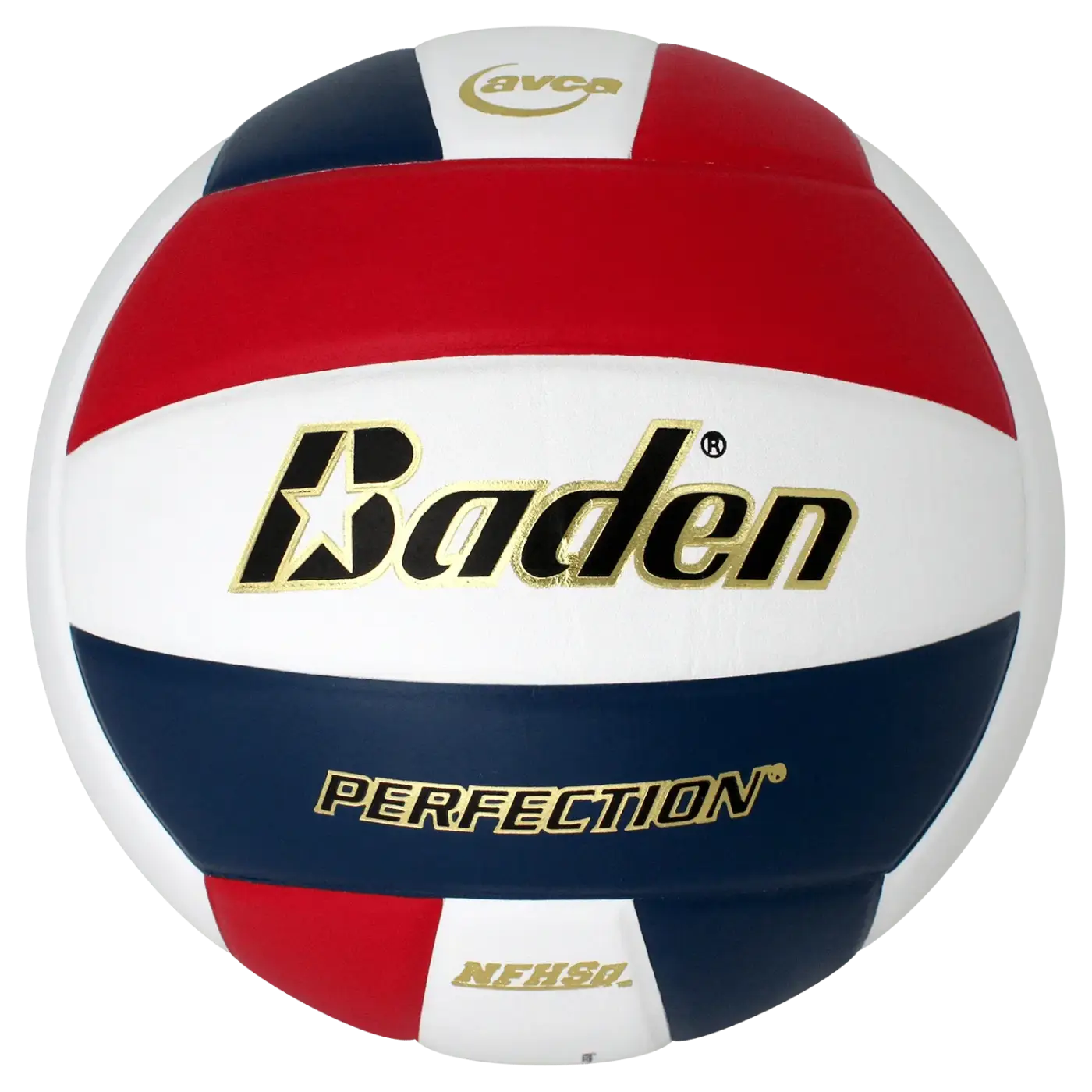 The Ball Depot volleyball: Baden Perfection Leather Volleyball