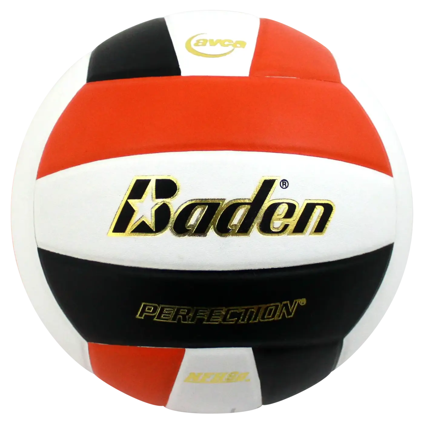 The Ball Depot volleyball: Baden Perfection Leather Volleyball