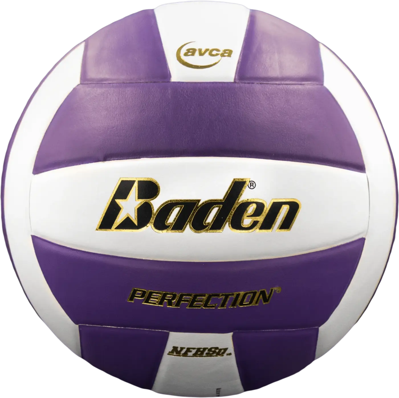 The Ball Depot volleyball: Baden Perfection Leather Volleyball