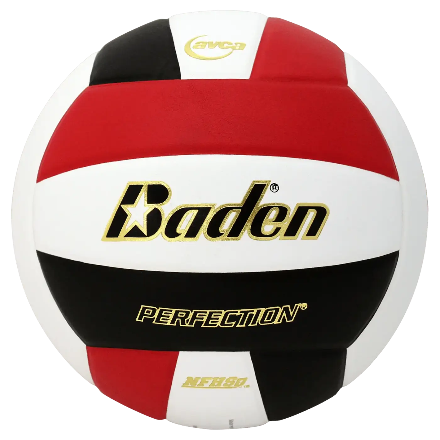 The Ball Depot volleyball: Baden Perfection Leather Volleyball
