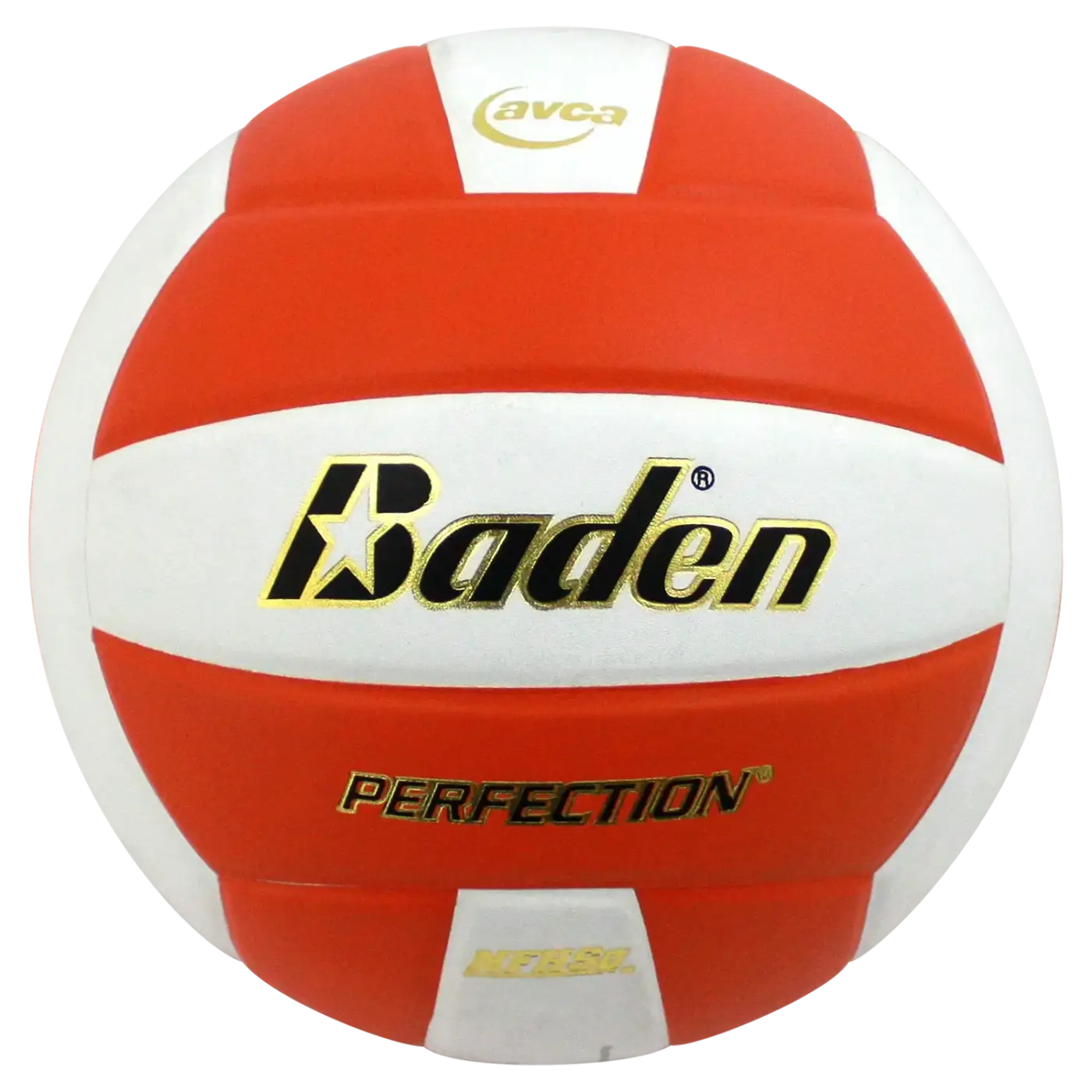 The Ball Depot volleyball: Baden Perfection Leather Volleyball