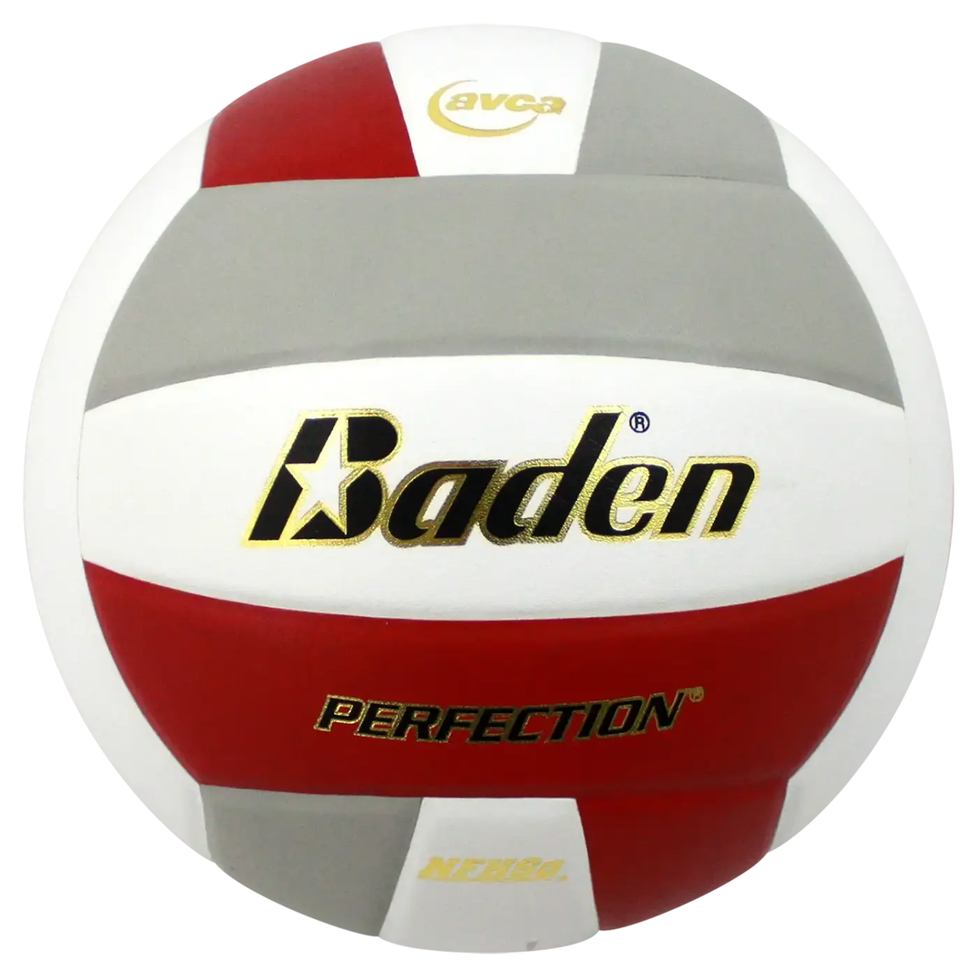 The Ball Depot volleyball: Baden Perfection Leather Volleyball