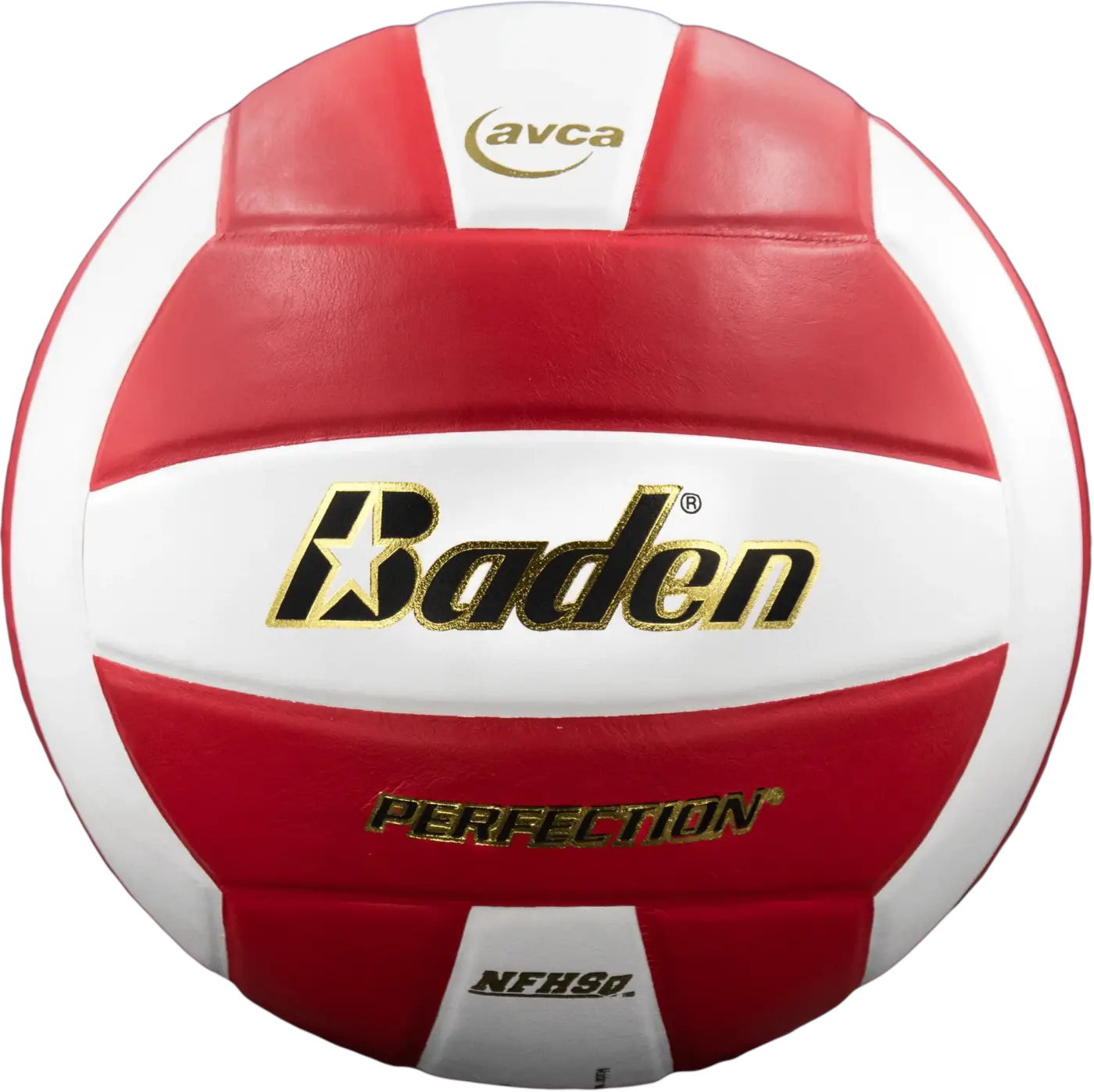 The Ball Depot volleyball: Baden Perfection Leather Volleyball