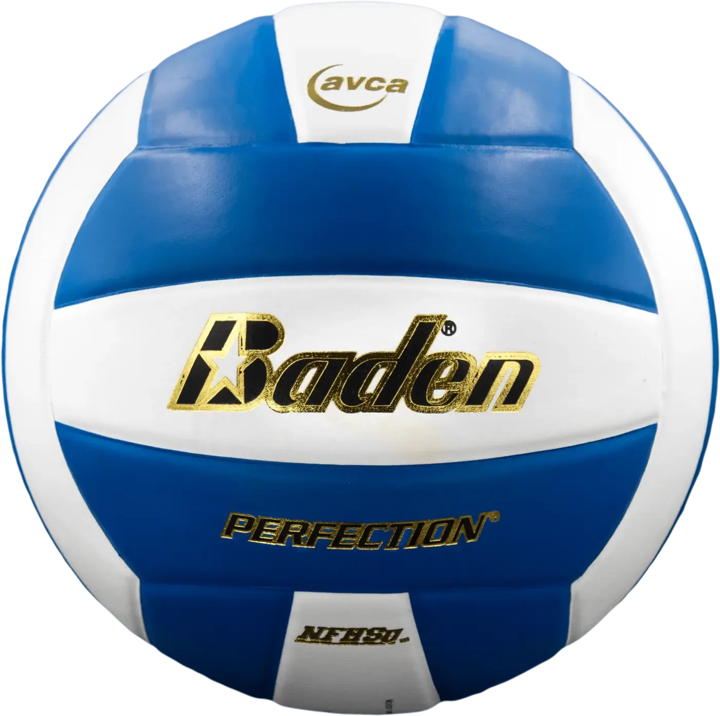 The Ball Depot volleyball: Baden Perfection Leather Volleyball