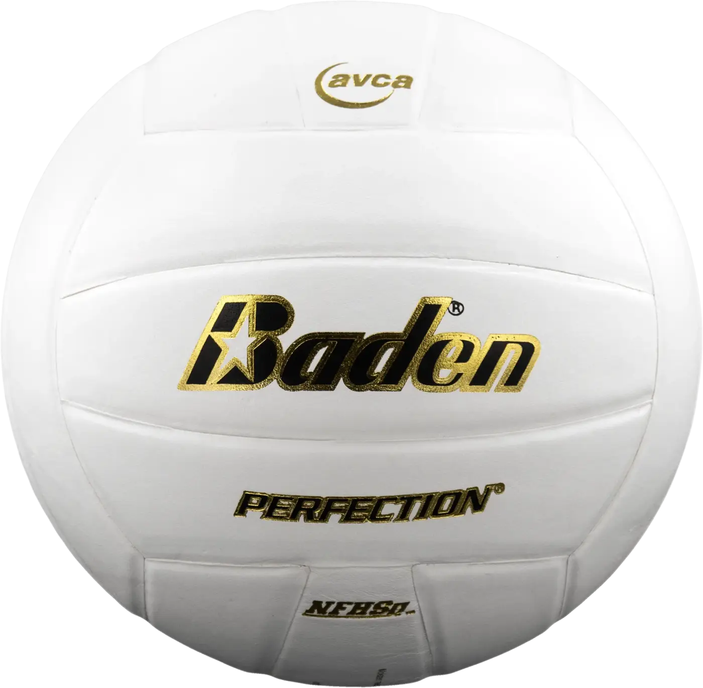 The Ball Depot volleyball: Baden Perfection Leather Volleyball