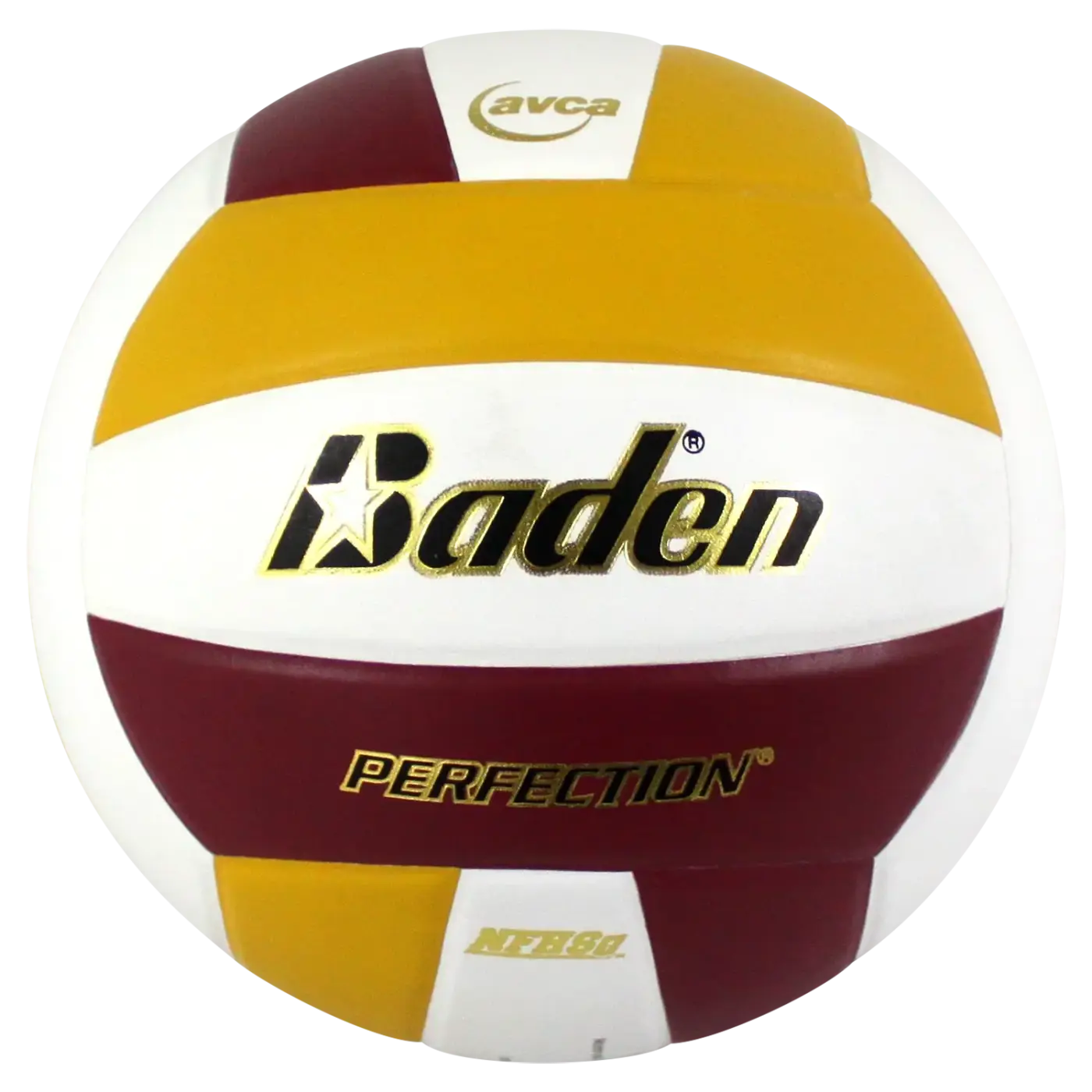 The Ball Depot volleyball: Baden Perfection Leather Volleyball