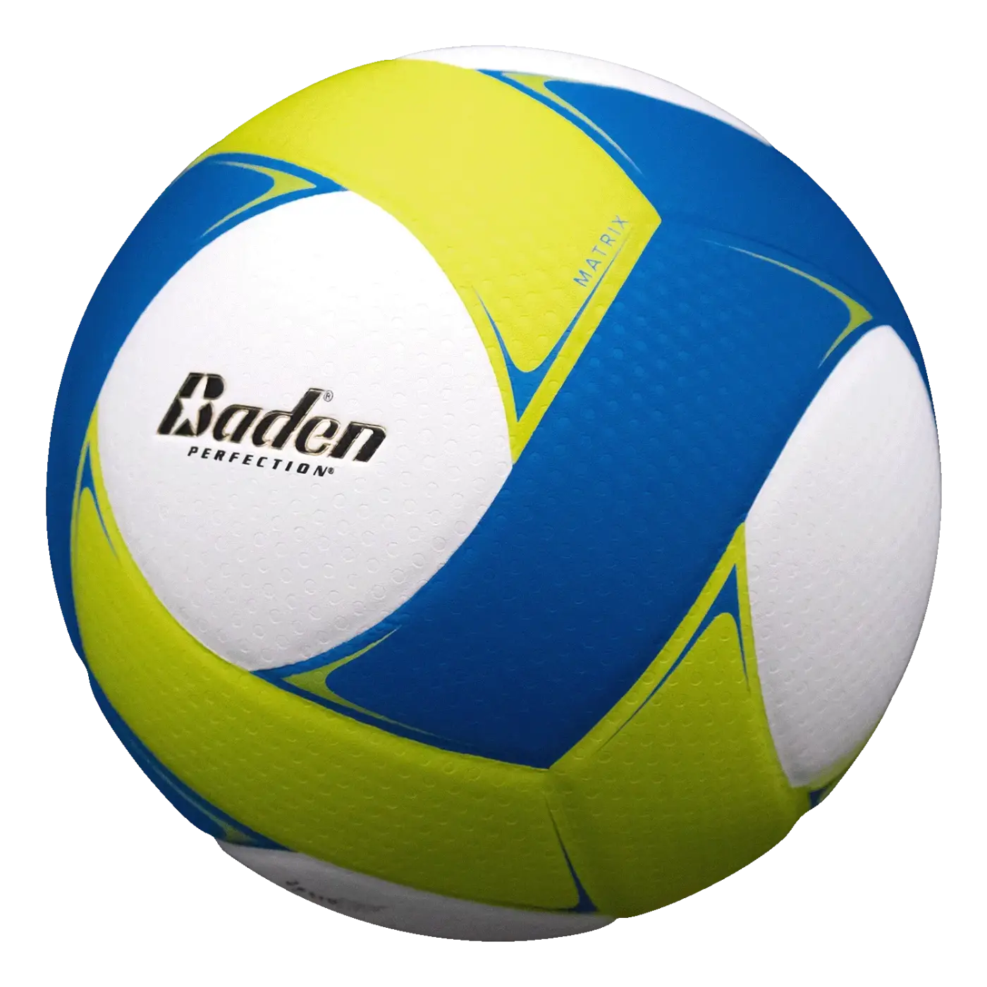 The Ball Depot basketball: Baden Perfection Matrix Volleyball