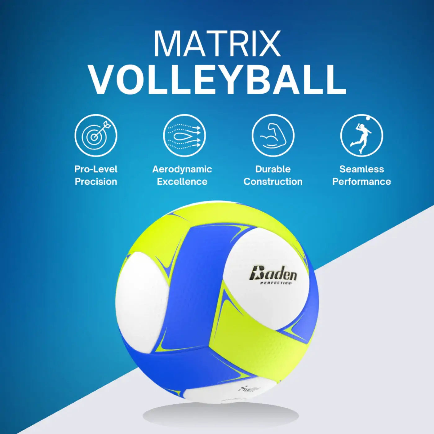 The Ball Depot basketball: Baden Perfection Matrix Volleyball