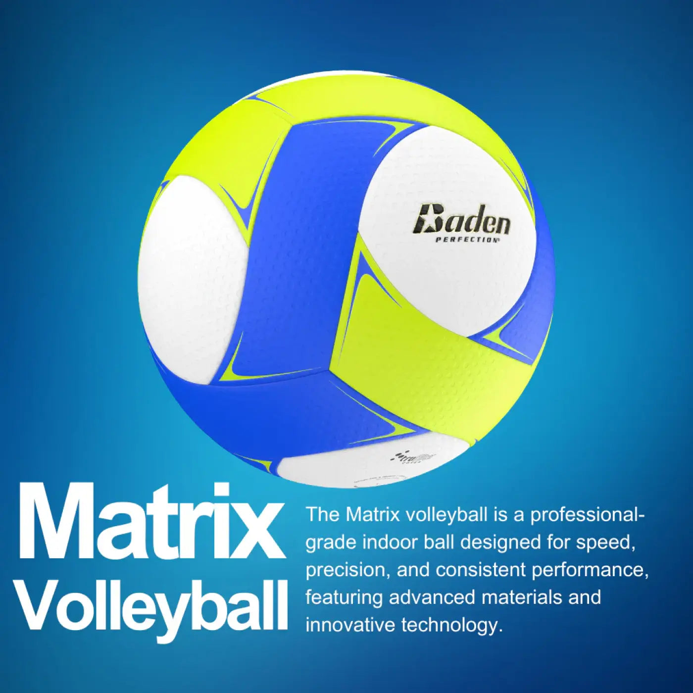 The Ball Depot basketball: Baden Perfection Matrix Volleyball