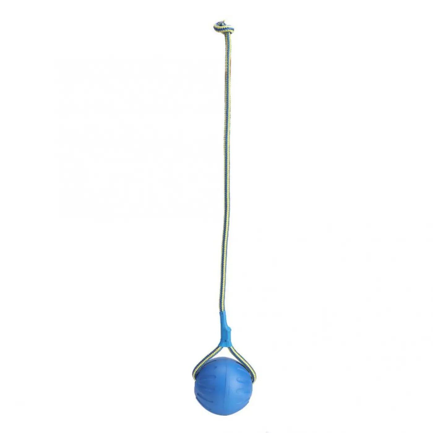 The Ball Depot dog ball: Band Bouncing Dog Ball