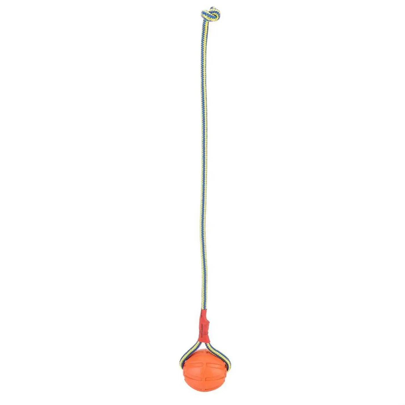 The Ball Depot dog ball: Band Bouncing Dog Ball