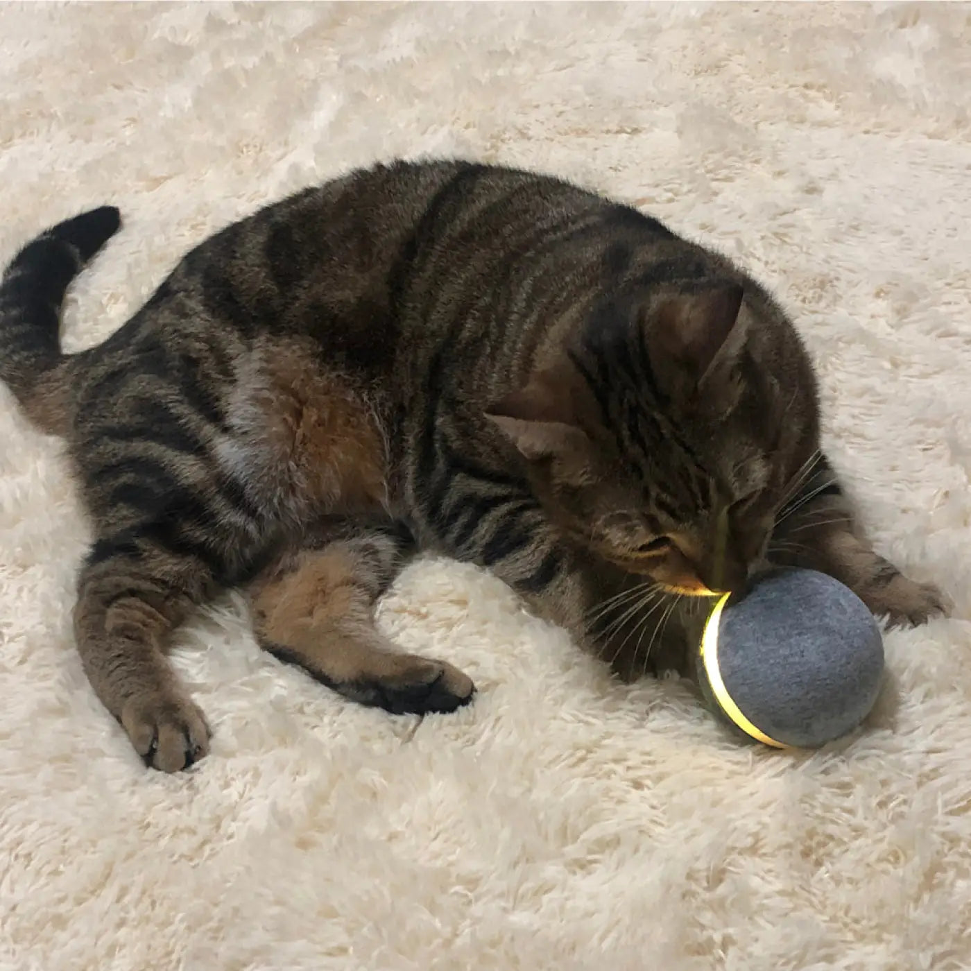 The Ball Depot Cat Balls: Bouncing Ball for Cats and Dogs