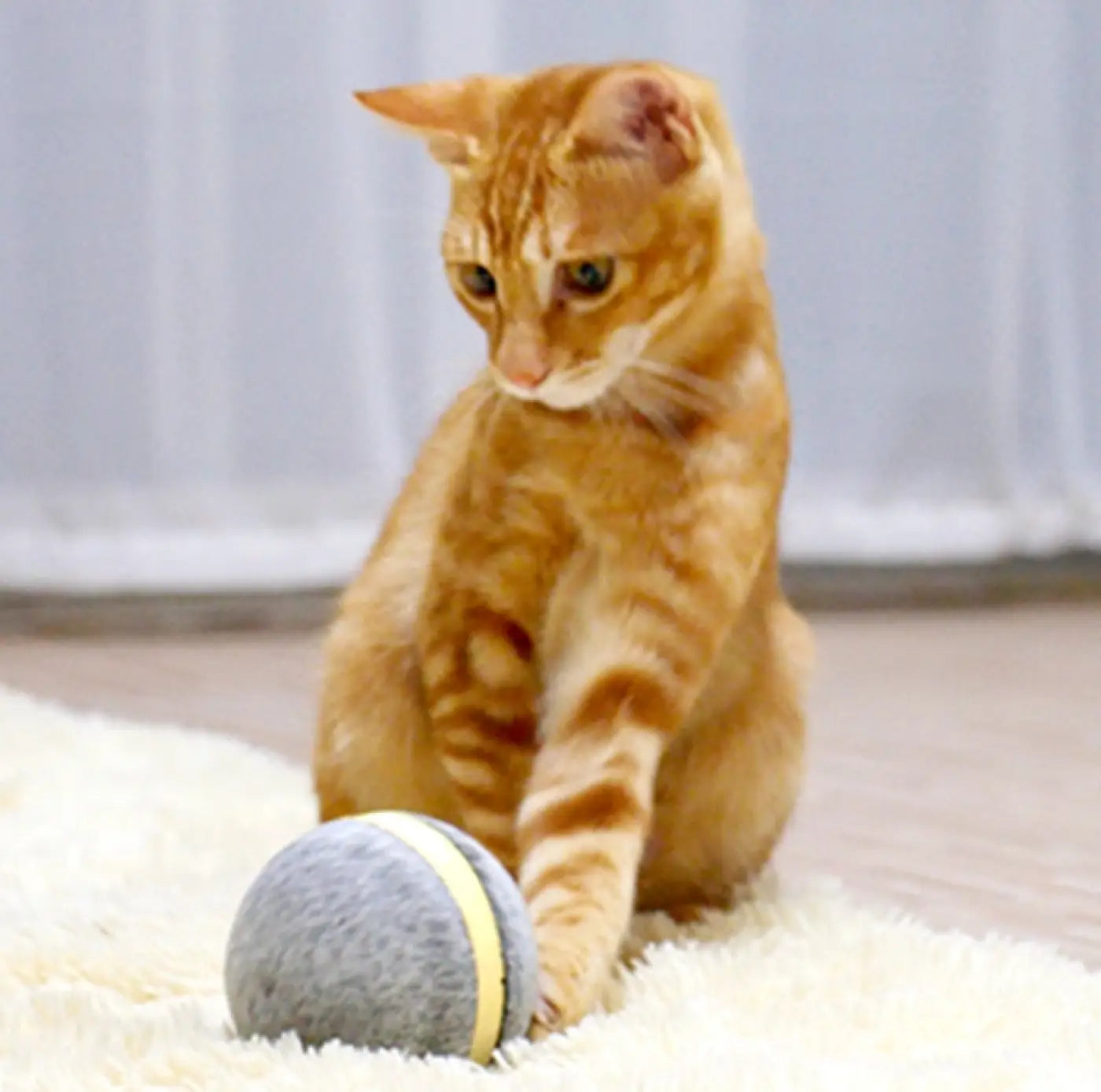 The Ball Depot Cat Balls: Bouncing Ball for Cats and Dogs