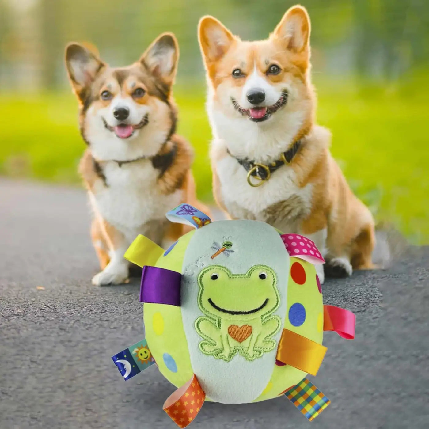 The Ball Depot dog ball: Built-in Chimes And Squeaky Balls For Dogs