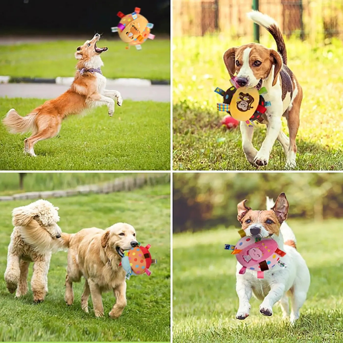 The Ball Depot dog ball: Built-in Chimes And Squeaky Balls For Dogs